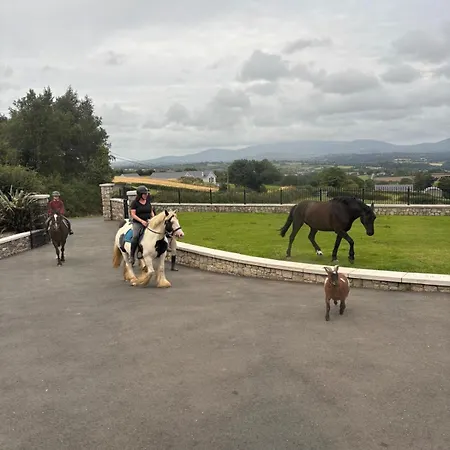 Brandon شقة كيلكيني