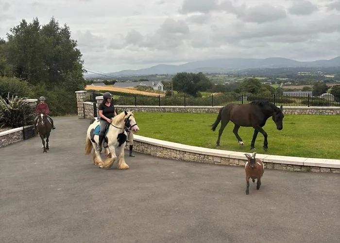 Brandon 公寓 基尔根尼