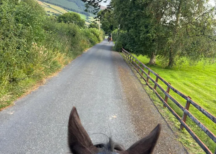 Brandon Διαμέρισμα